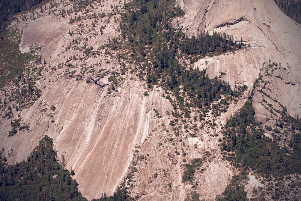 an aerial view of a rocky area with trees