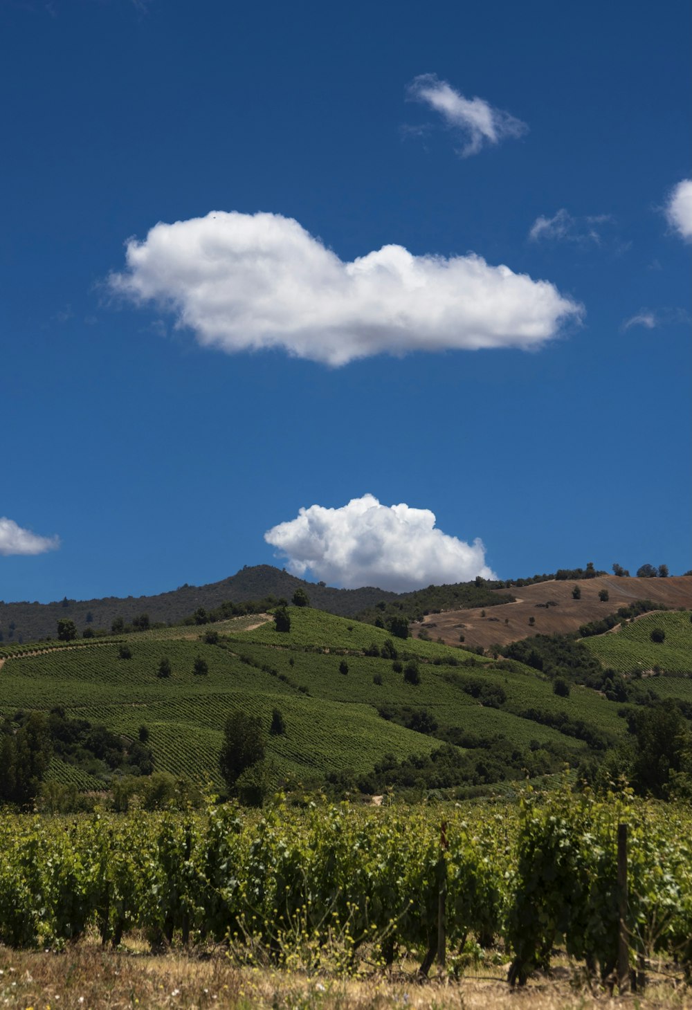 a field with a hill in the background and clouds in the sky