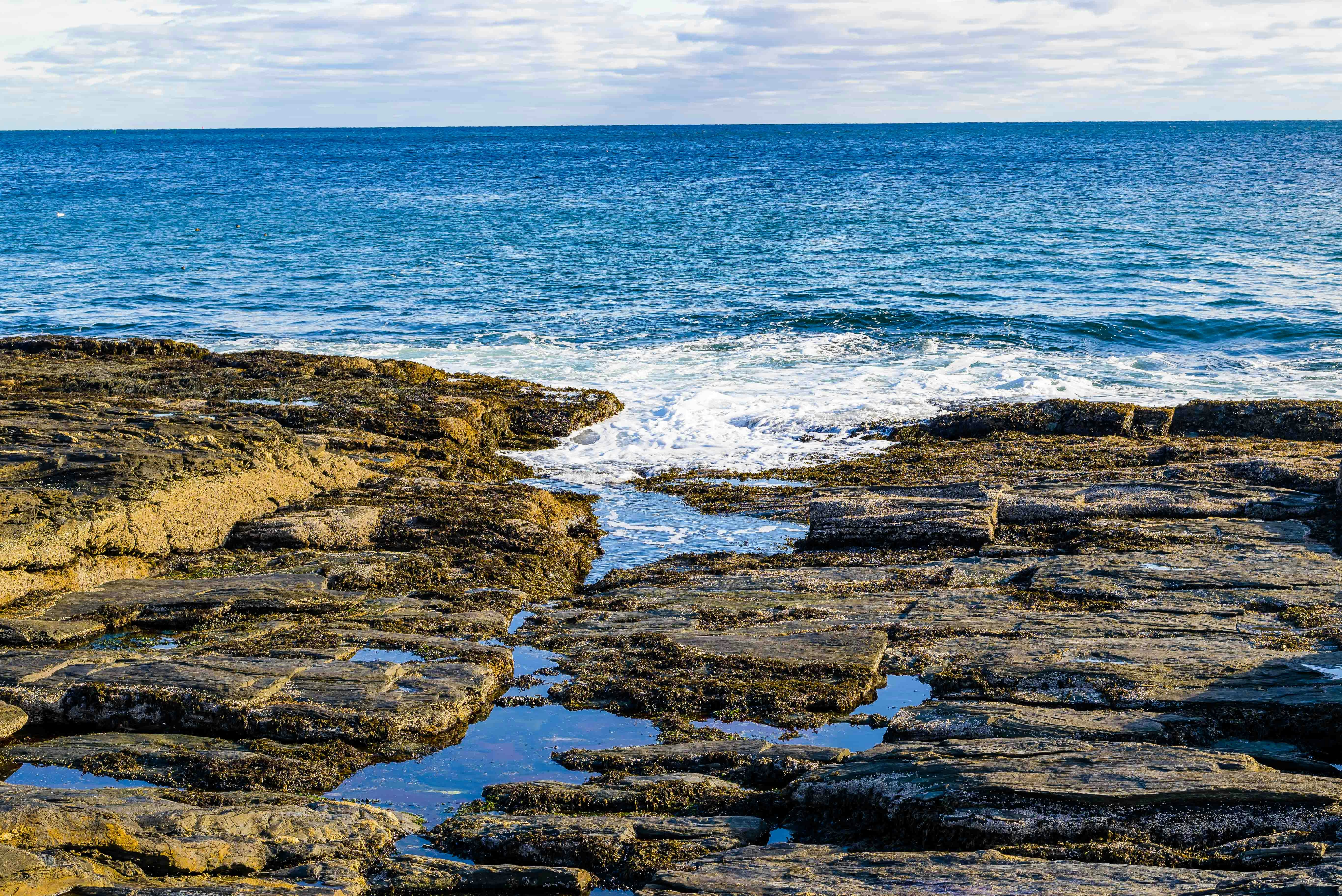 Photo by naveensnaidu25