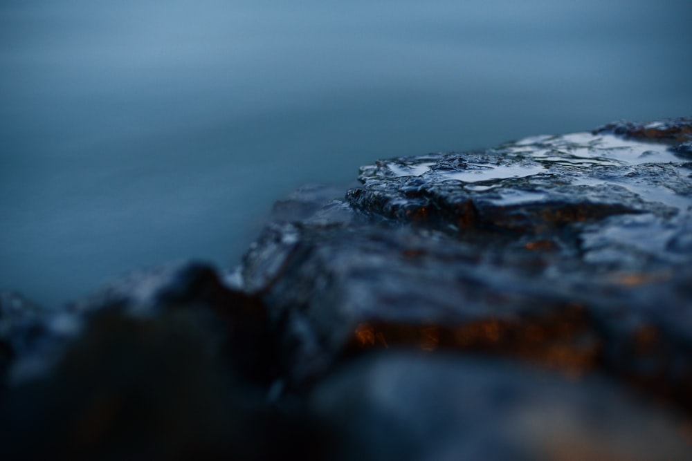 a close up of a rock with water in the background