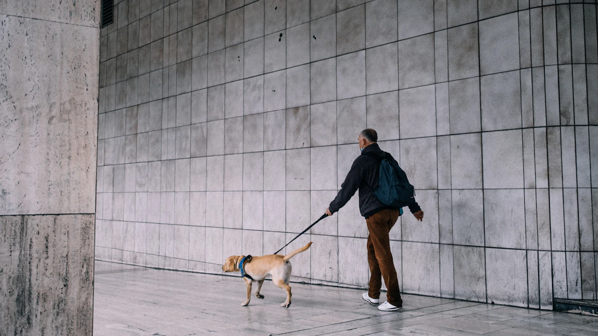 Perro paseando con correa