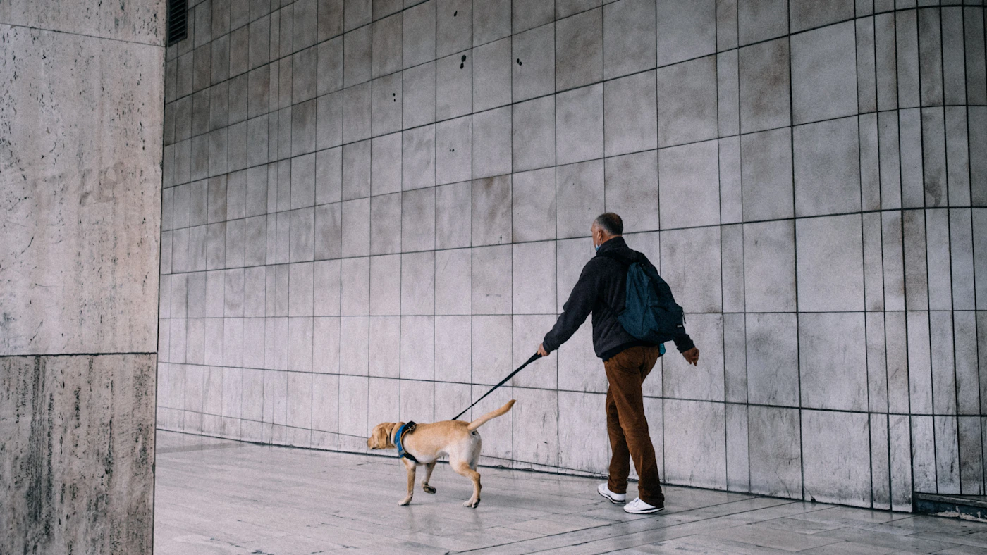 A person with a backpack walking a tan dog on a leash beside a tall concrete wall on a Canadian city street