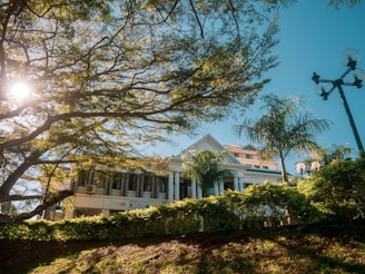 A picturesque scene of a colonial-style building surrounded by lush greenery and tall palm trees. The sun peeks through the branches of a large tree, casting dappled light on the manicured lawn. A vintage-style lamppost adds a classic touch to the serene landscape.