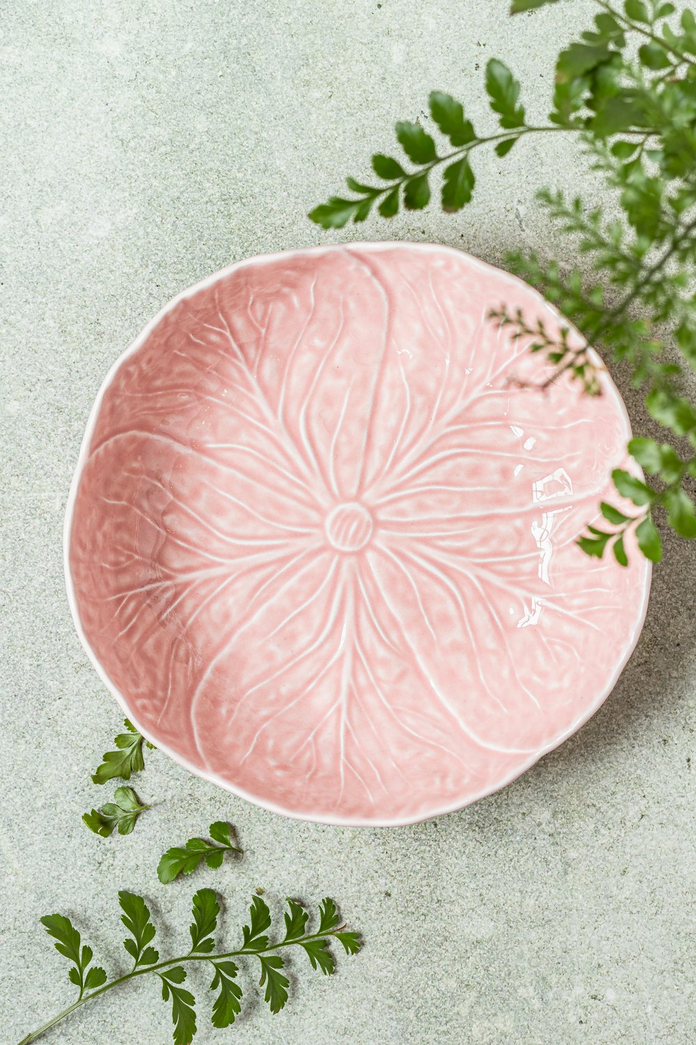 a pink plate sitting next to a green plant