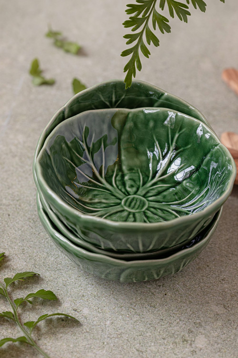 a close up of a bowl with a plant in it