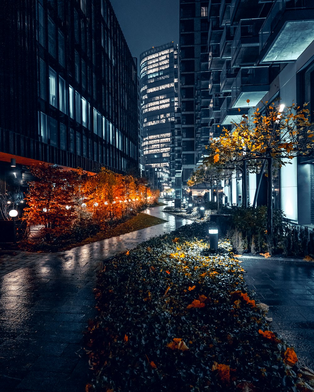 a city street at night with tall buildings