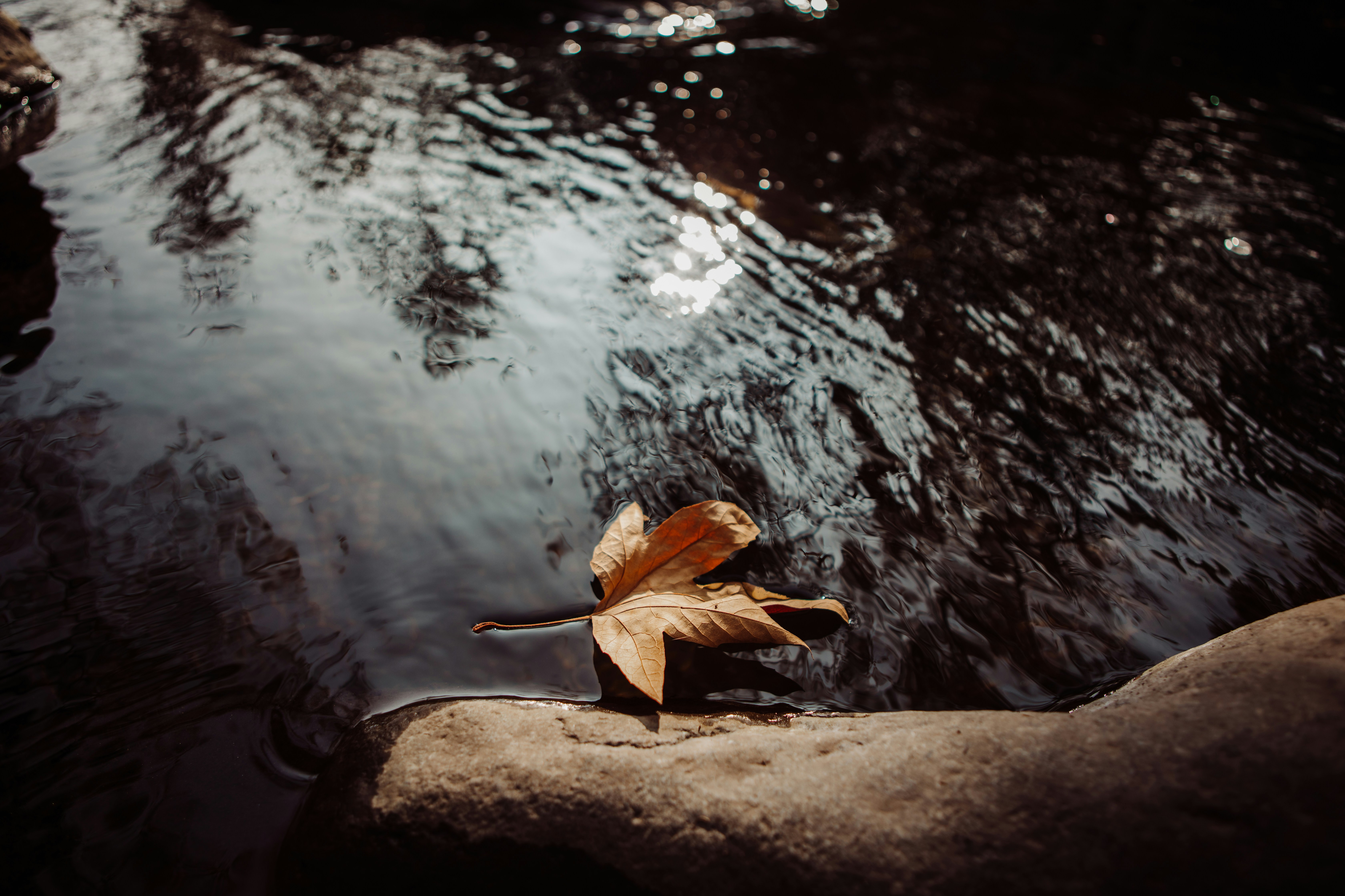 Photo by sixteenmilesout