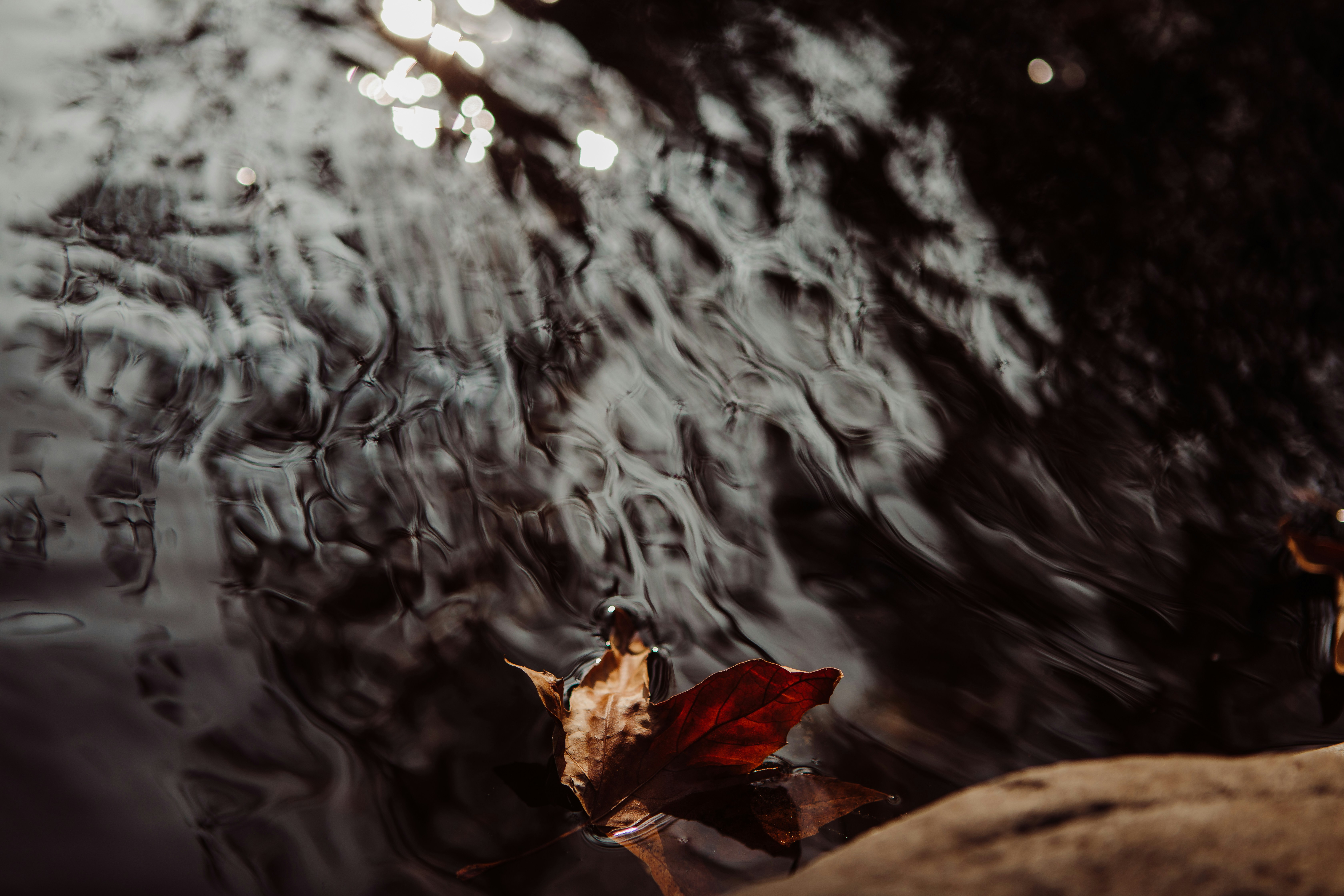 Photo by sixteenmilesout