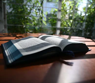 Sunlight filtering through leaves onto an open poetry book.