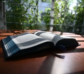 A serene image of Ayurvedic herbs and open book resting on a wooden surface.