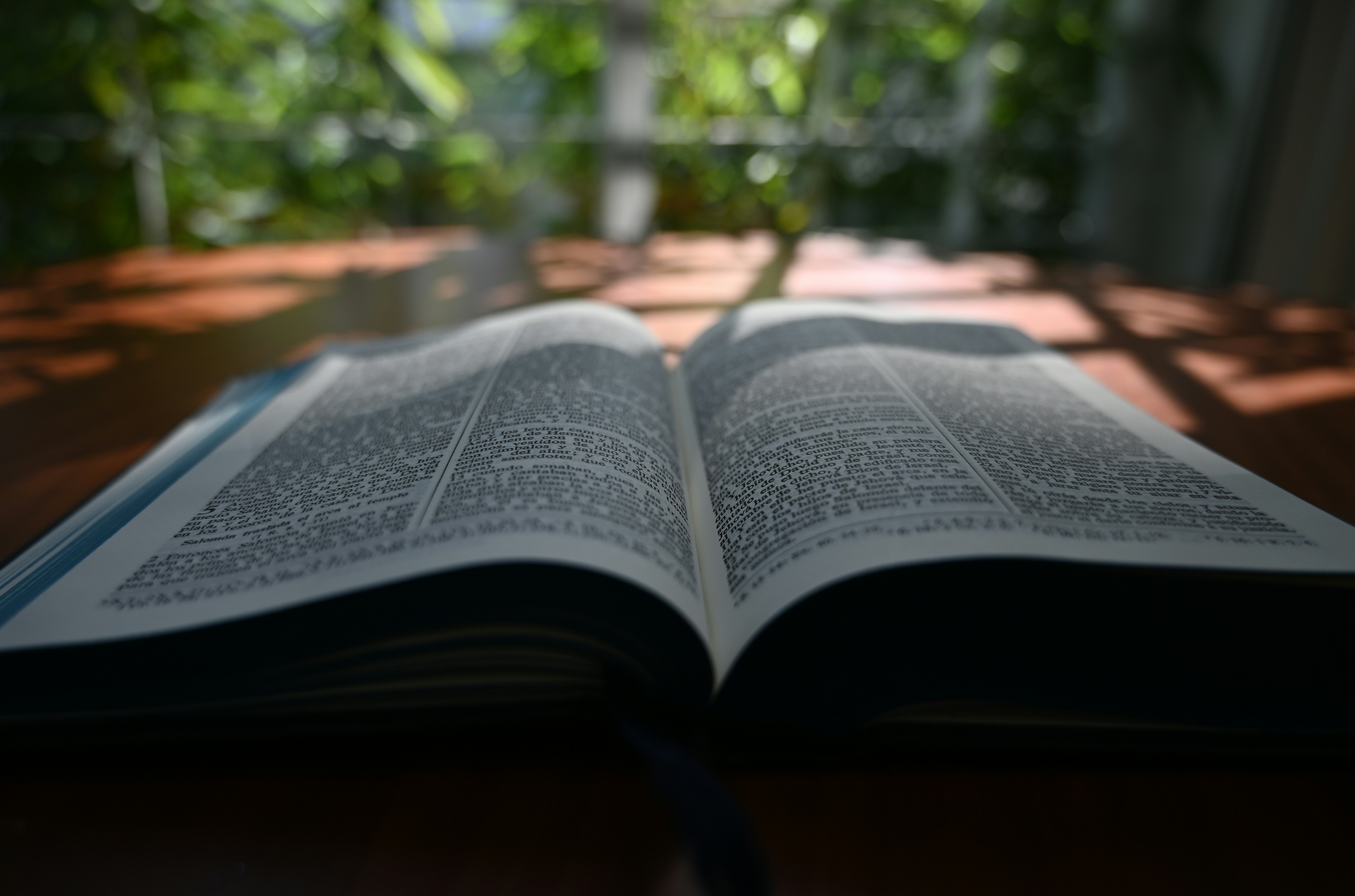 Photo by mensajeroepico