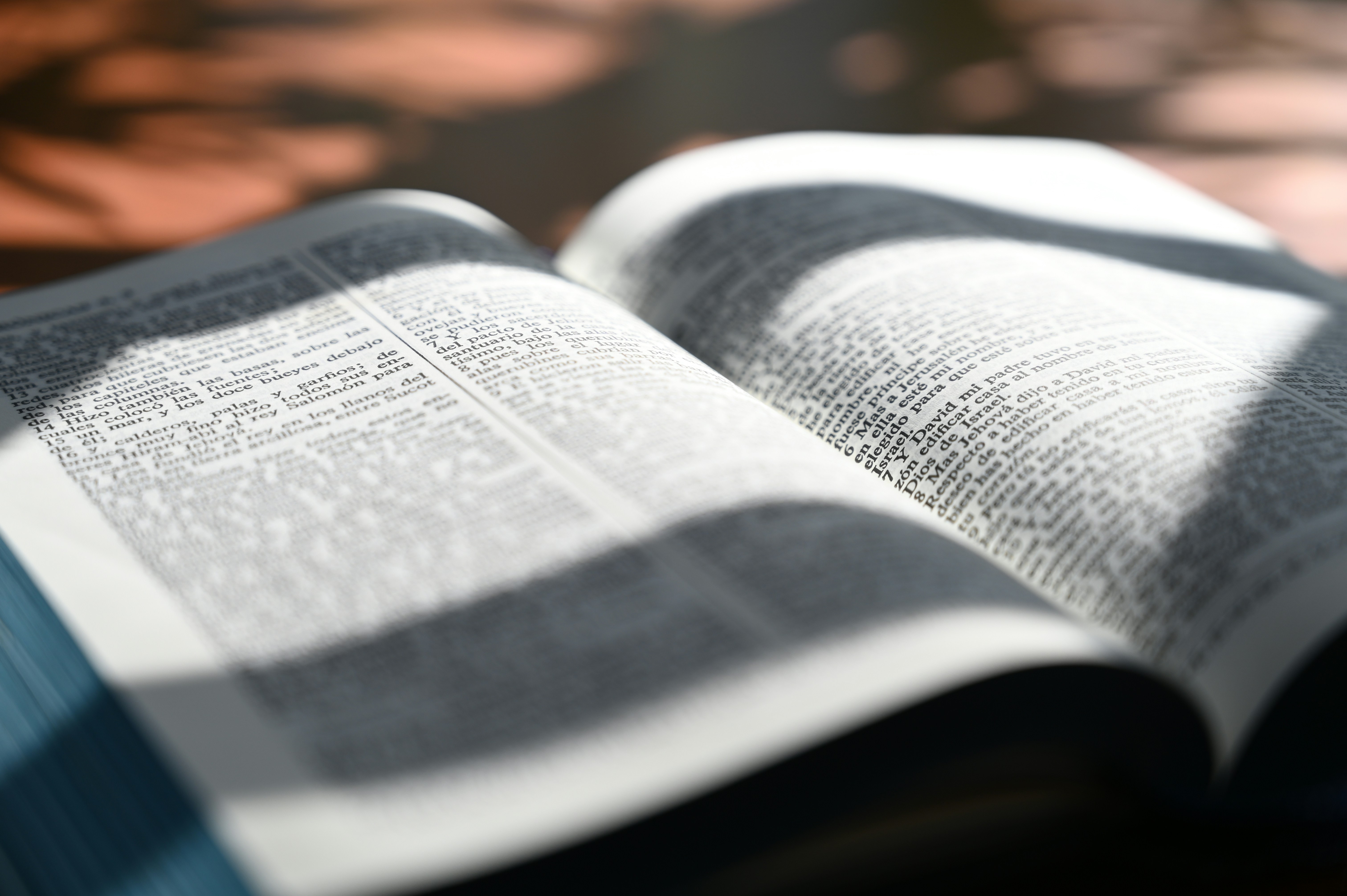 Photo by mensajeroepico