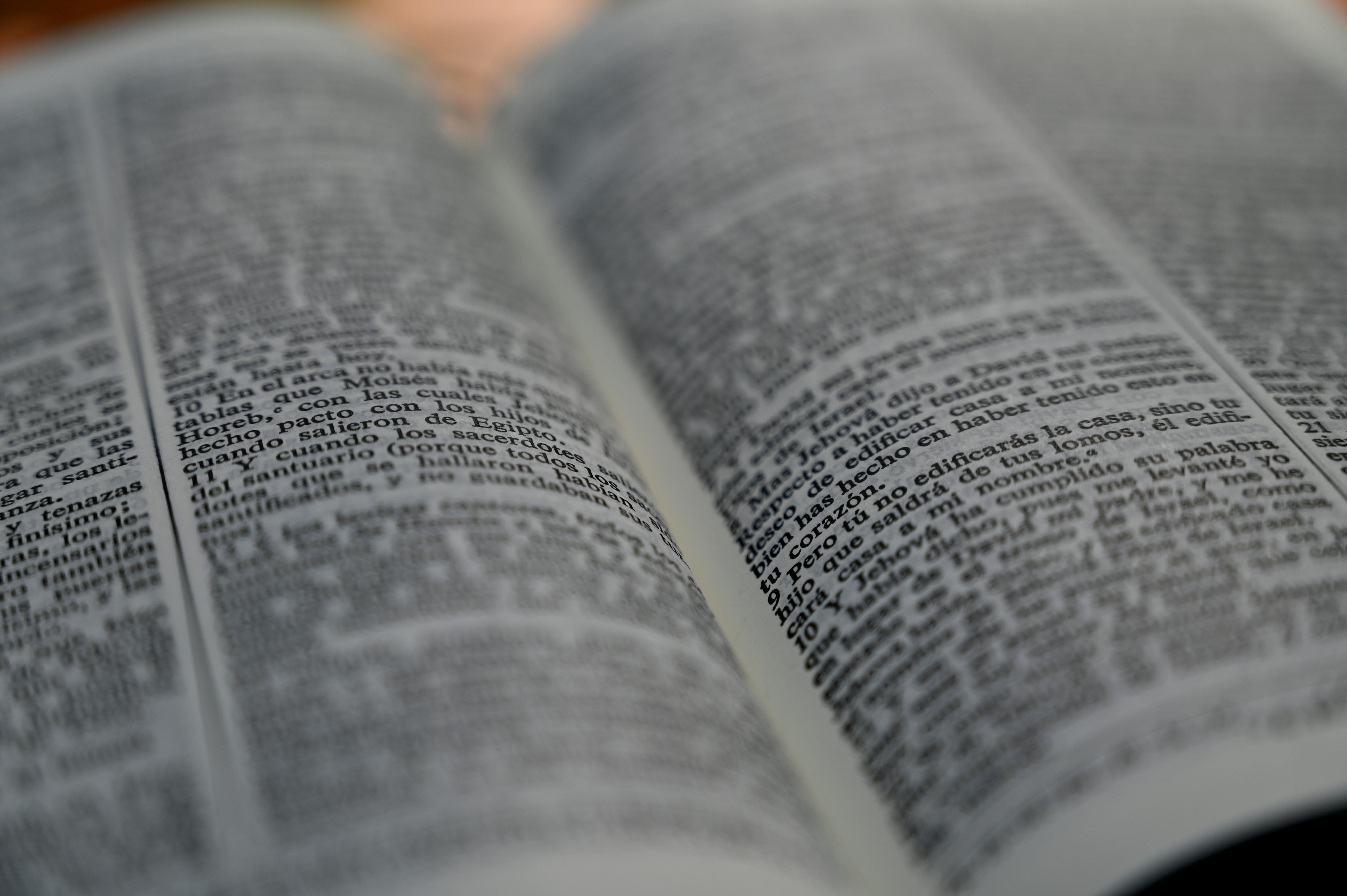 Photo by mensajeroepico