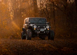 An old Bronco parked on a narrow forest trail with sunlight filtering through the trees.