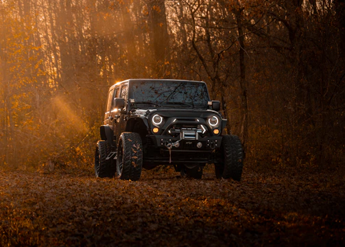 An old Bronco parked on a narrow forest trail with sunlight filtering through the trees.