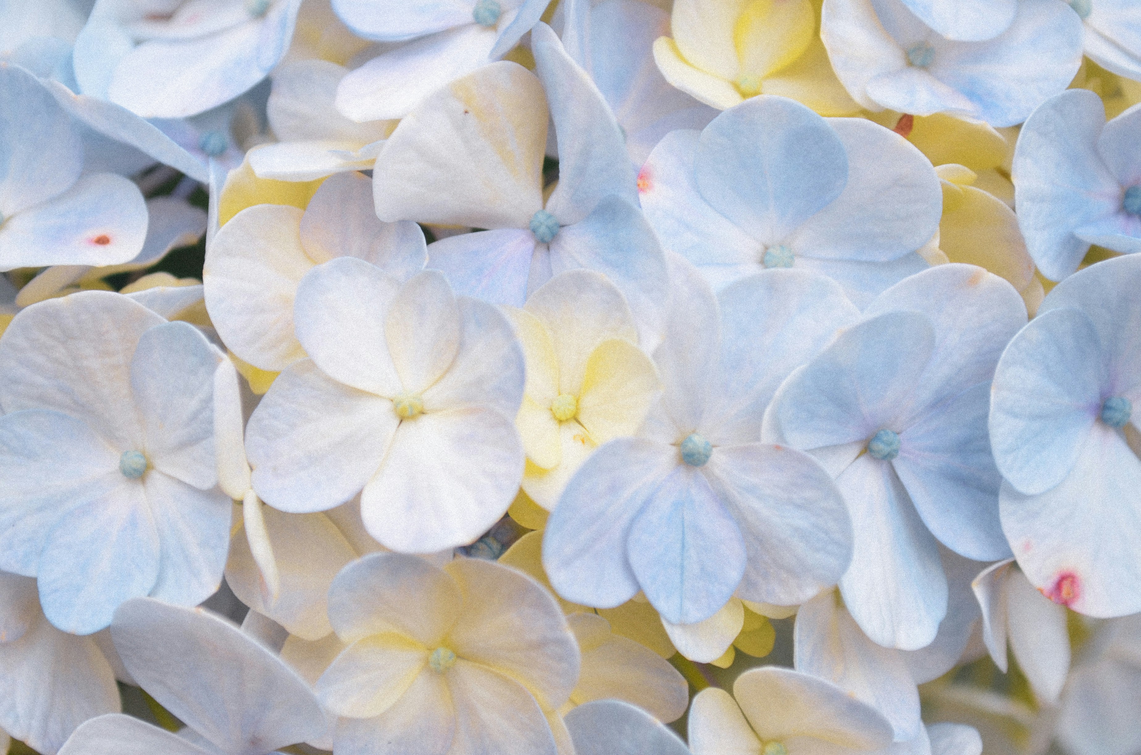 Photo by raganstones