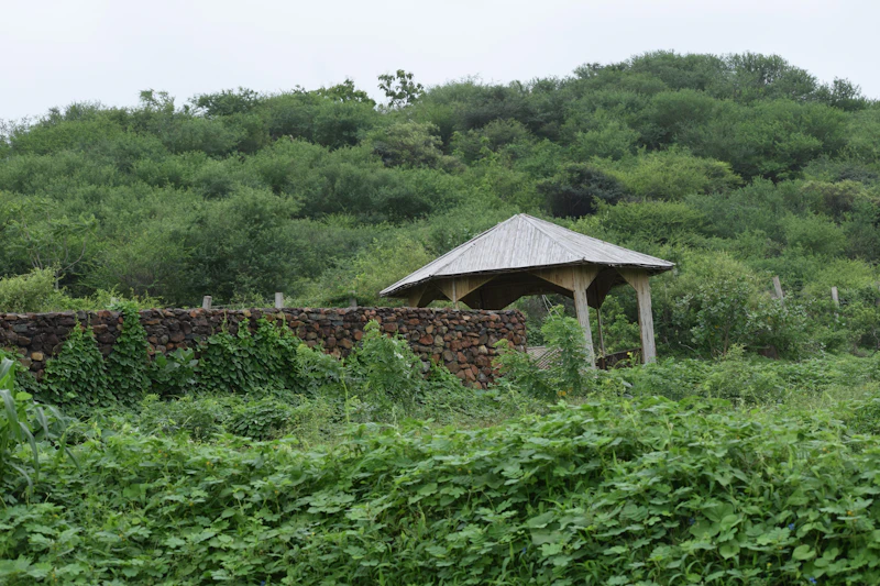 Top Tourist Places in Junagadh: What's Actually Worth Your Time
