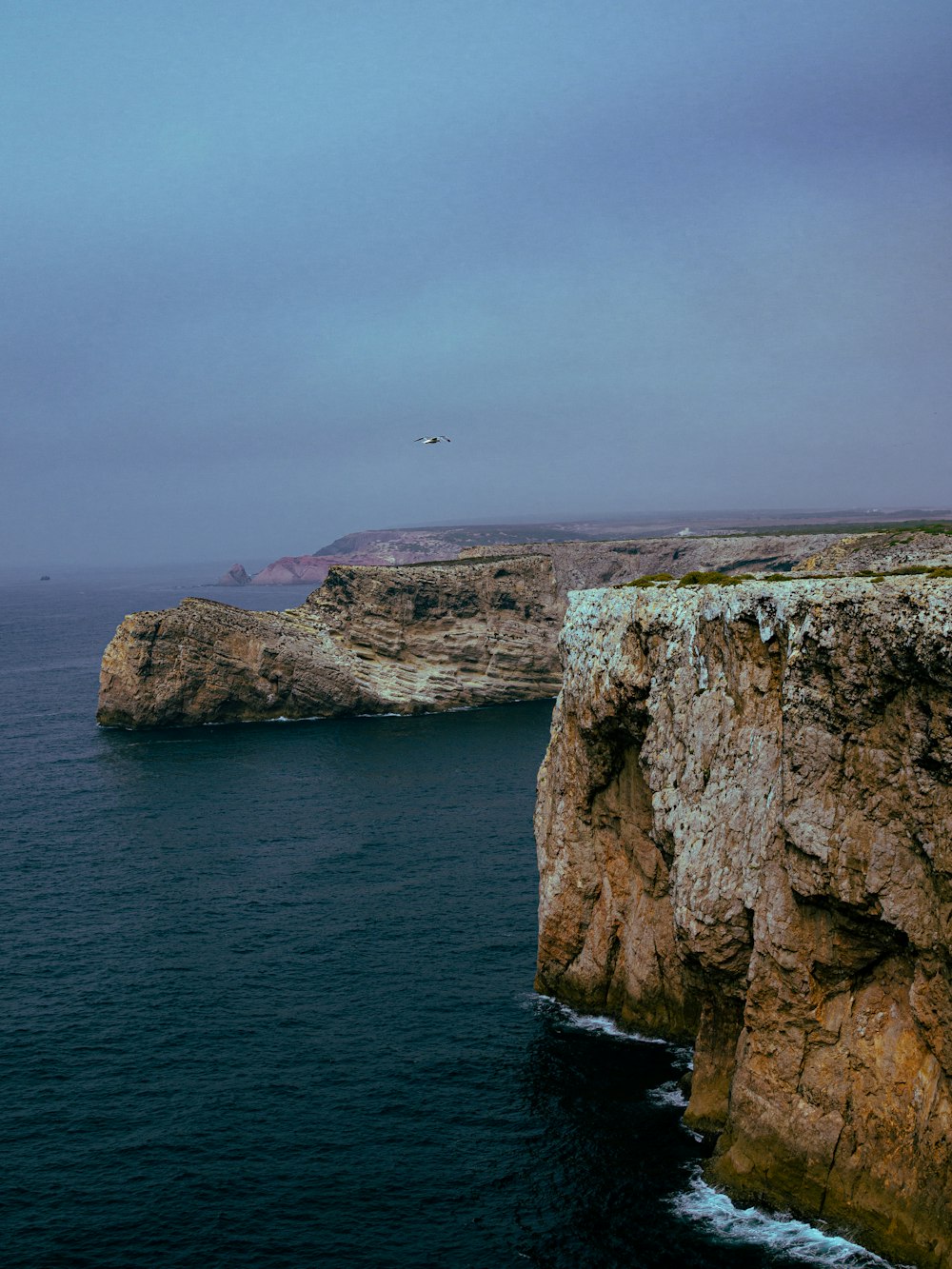a cliff with a seagull flying over it
