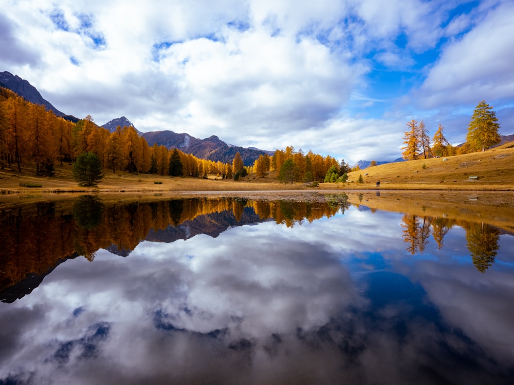 a body of water surrounded by mountains and trees