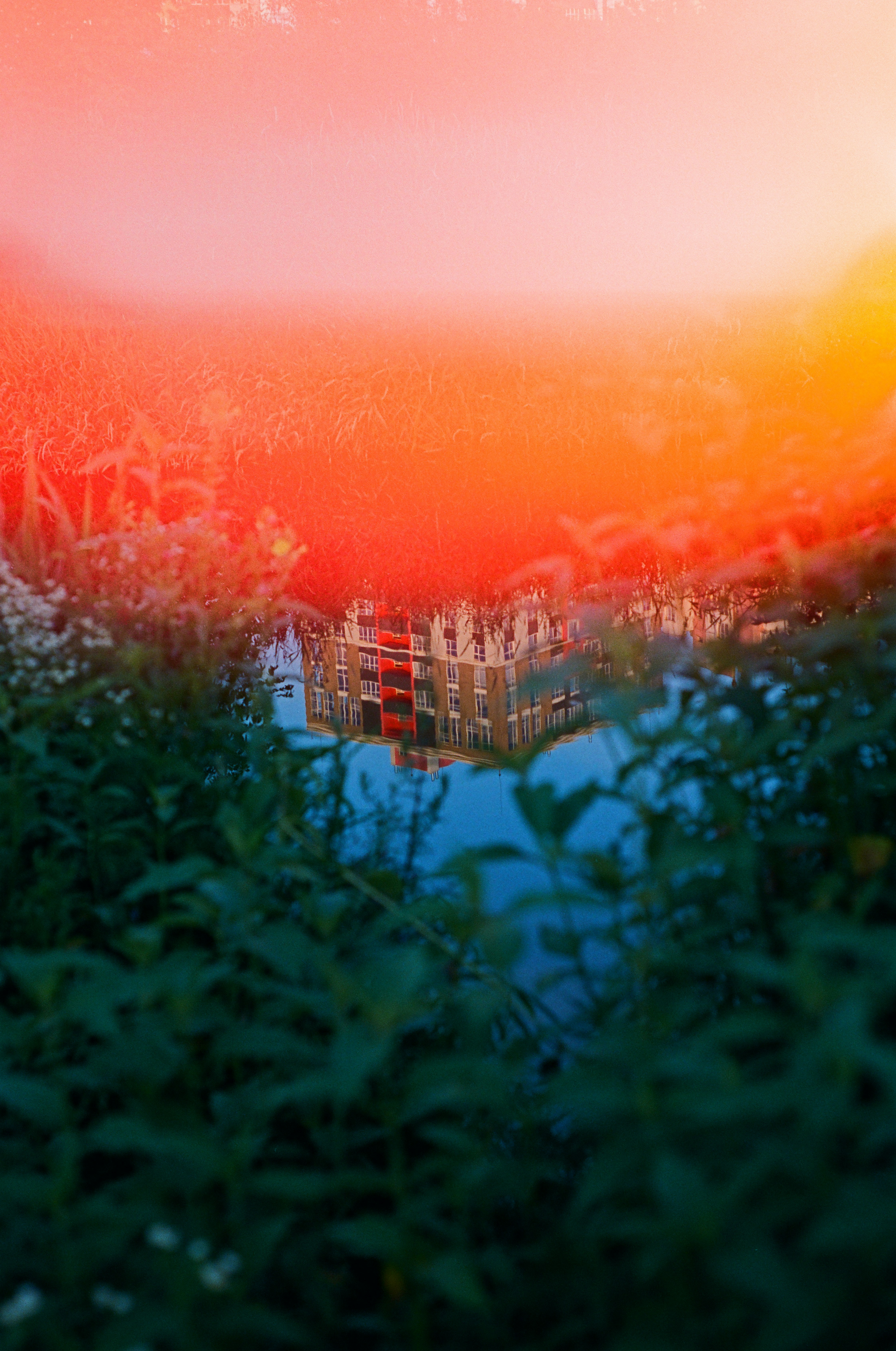 a reflection of a building in a body of water