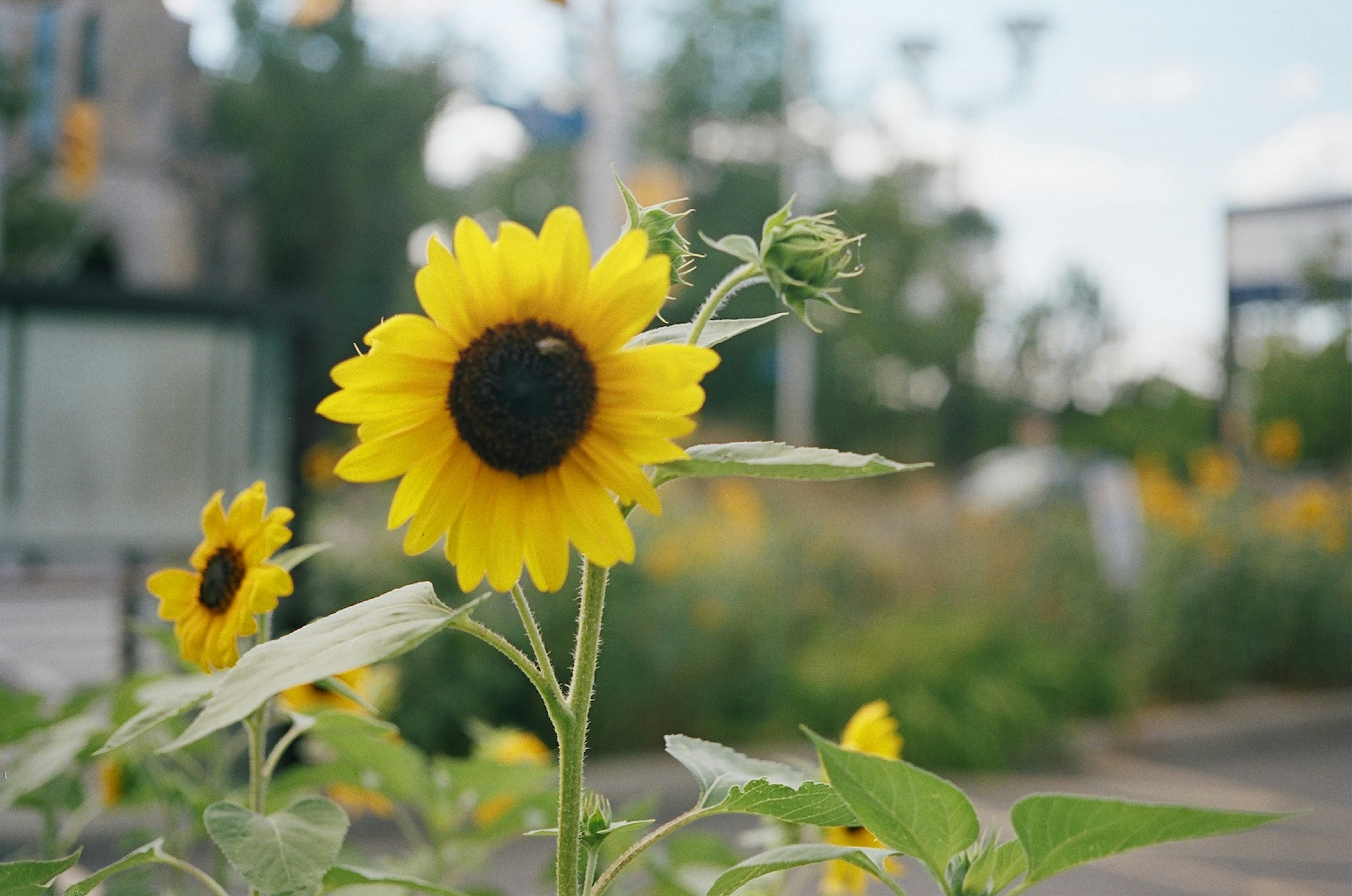 Photo by samm_trippy