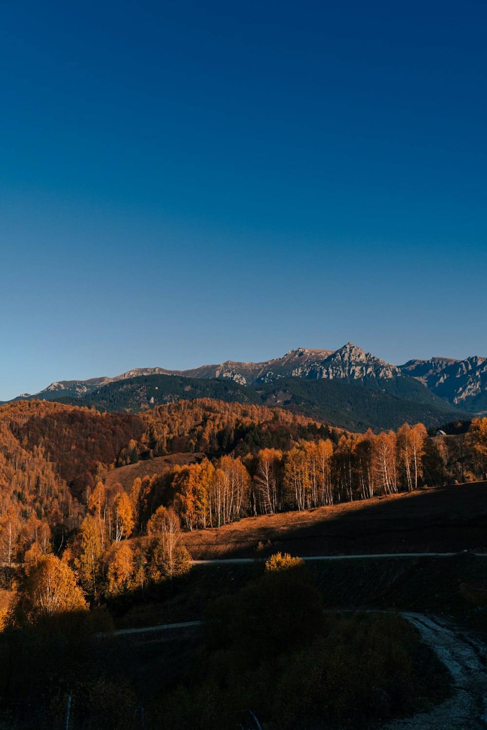 Une vue panoramique d’une chaîne de montagnes en automne