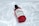 A red-capped bottle labeled 'Snail Truecica Miracle Repair Serum' lies on a surface with a pattern resembling light reflections on water. The bottle is clear with red accents, containing a dark liquid inside.