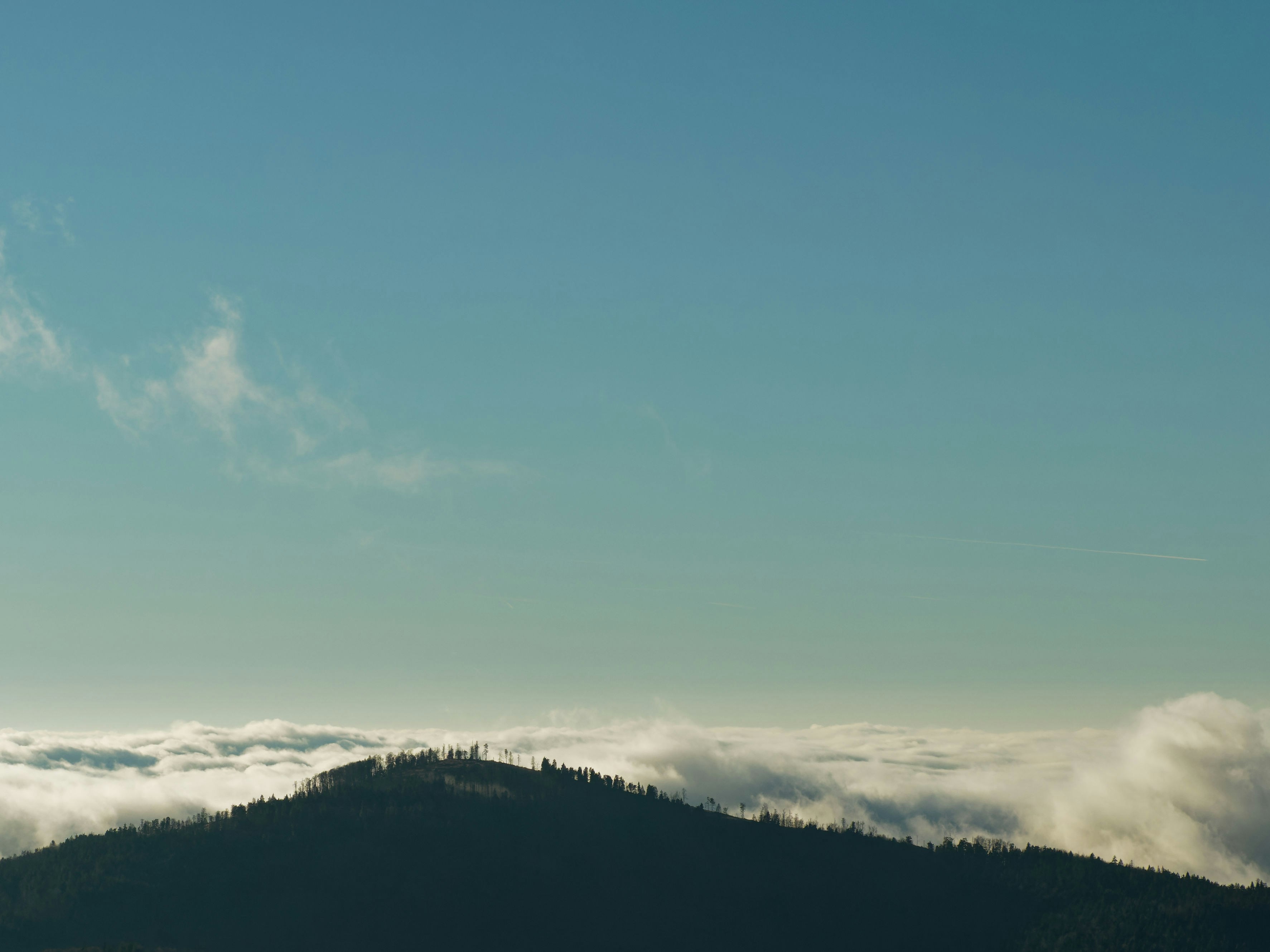 Photo by illes_cristi