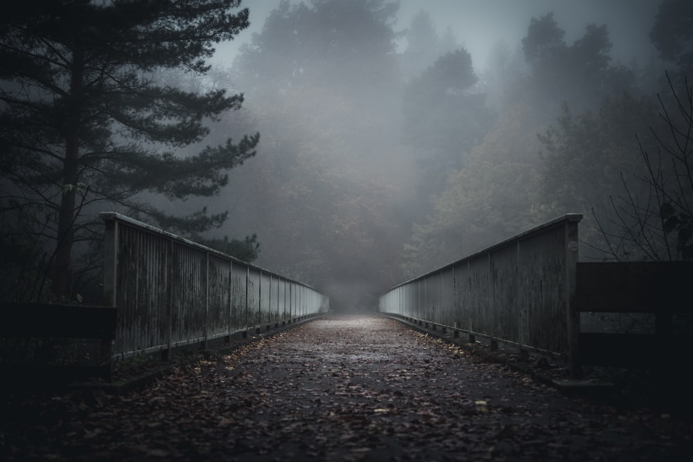 a bridge in the middle of a forest on a foggy day