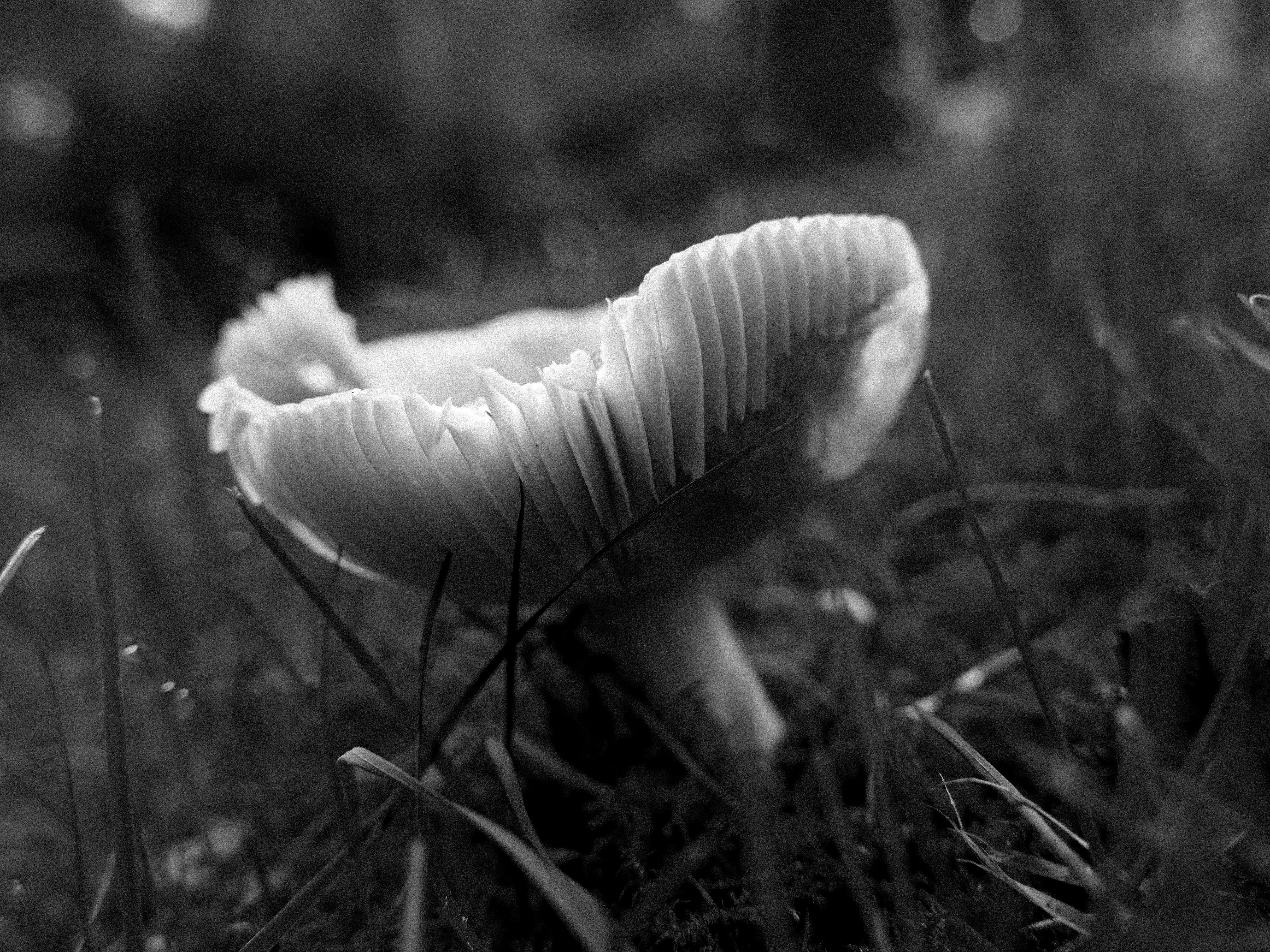 Photo by beauty_van_stam