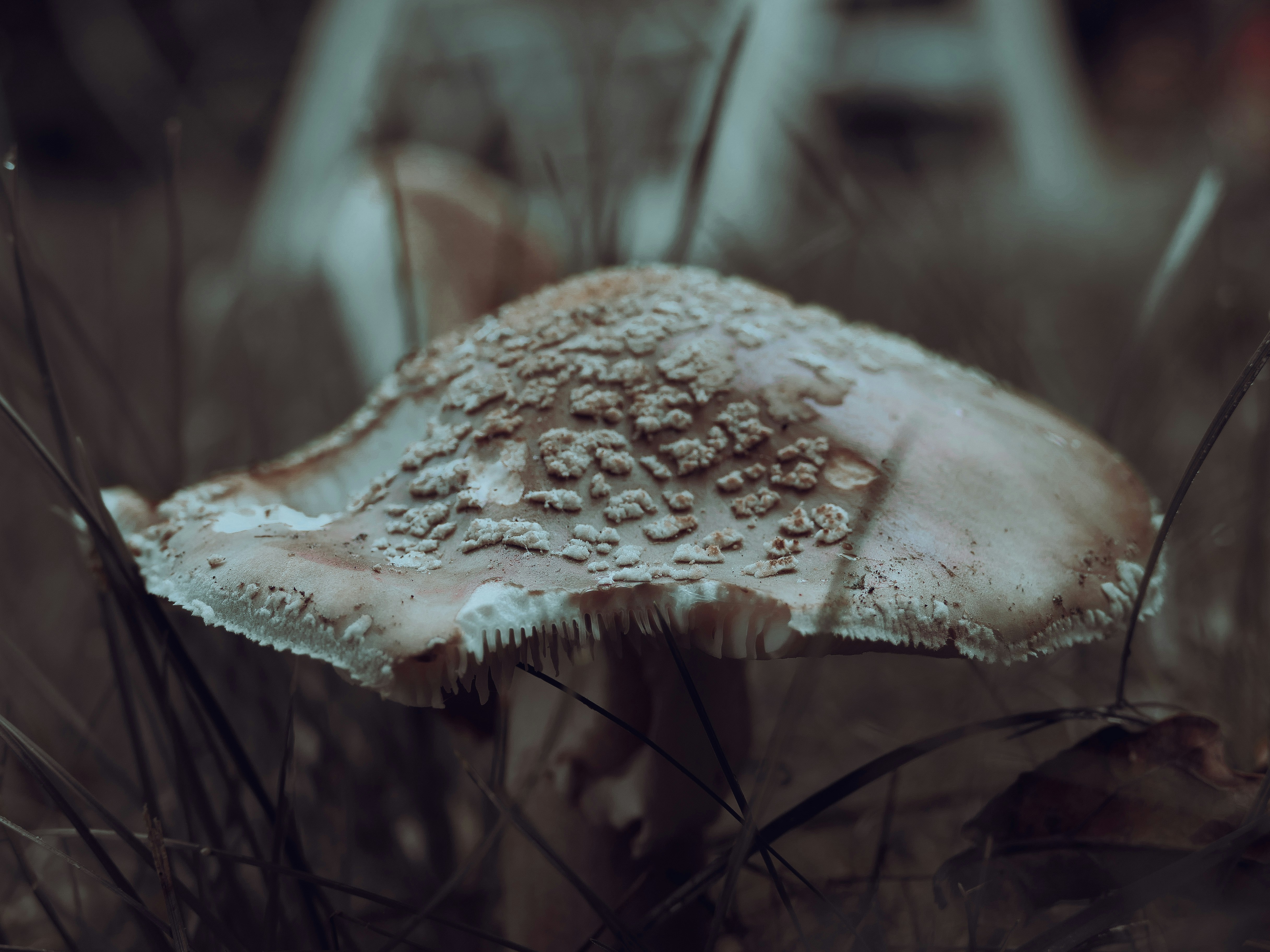 Photo by beauty_van_stam