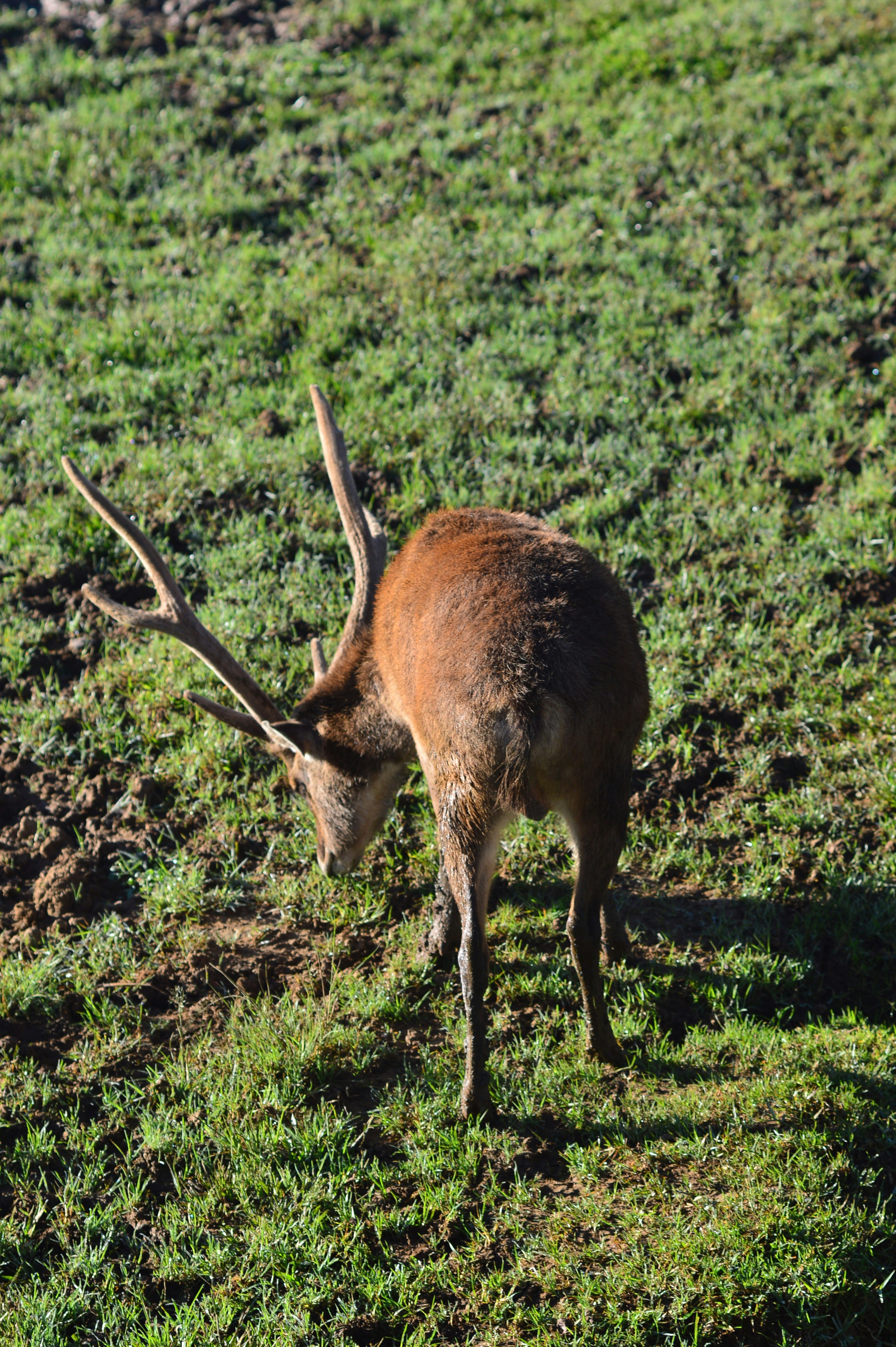 Photo by enggarpaditya7