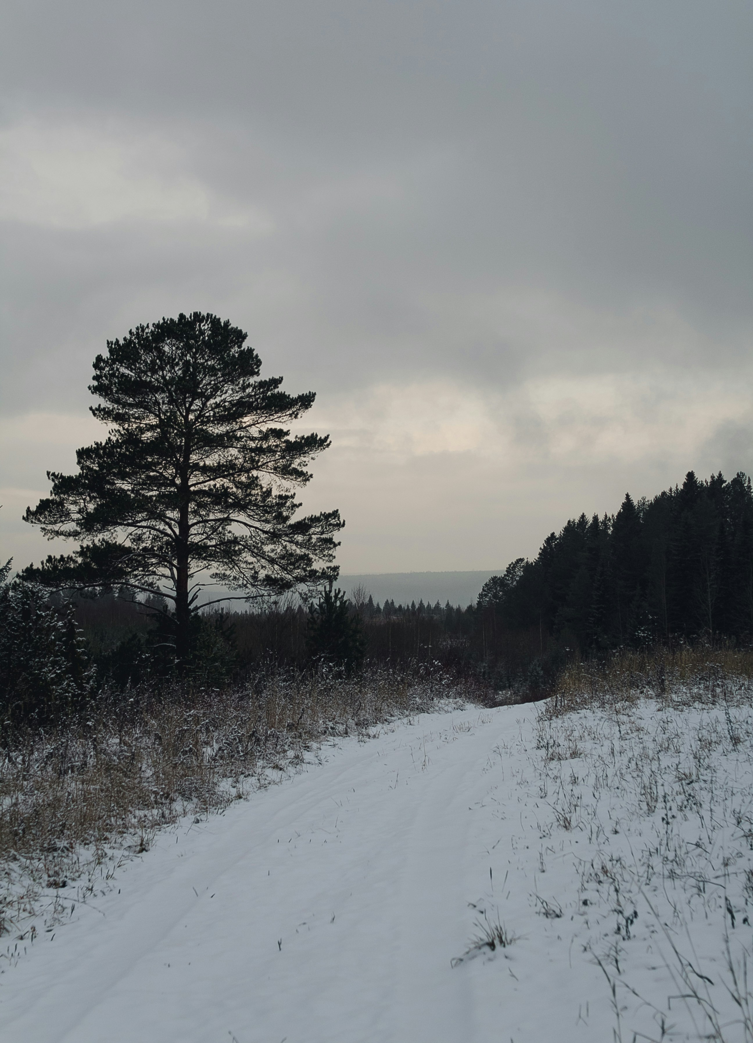 winter rv landscape, wallpaper, RV Winterization: Essential Tips for a Worry-Free Season 3