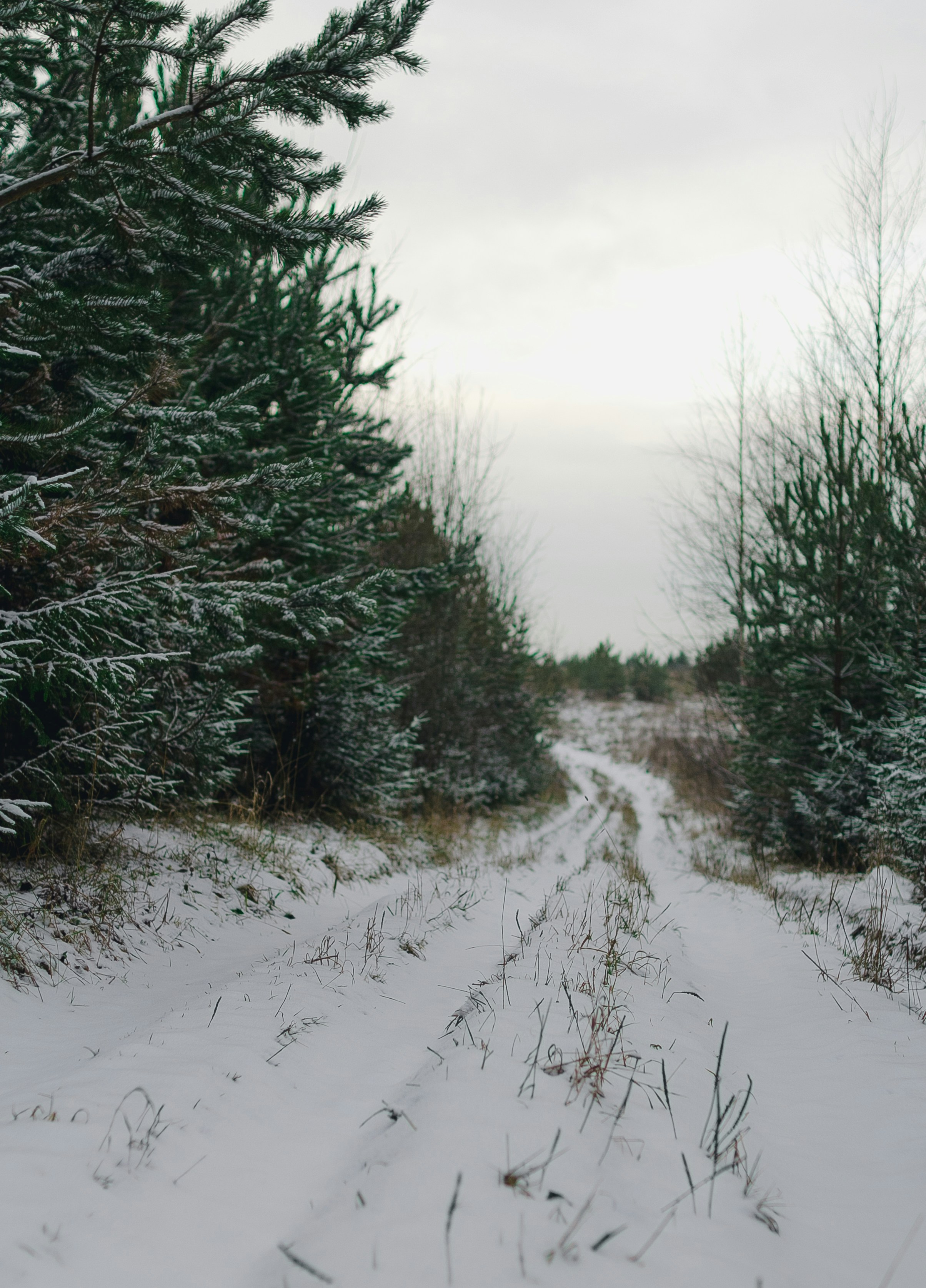 Photo by reshetnikov