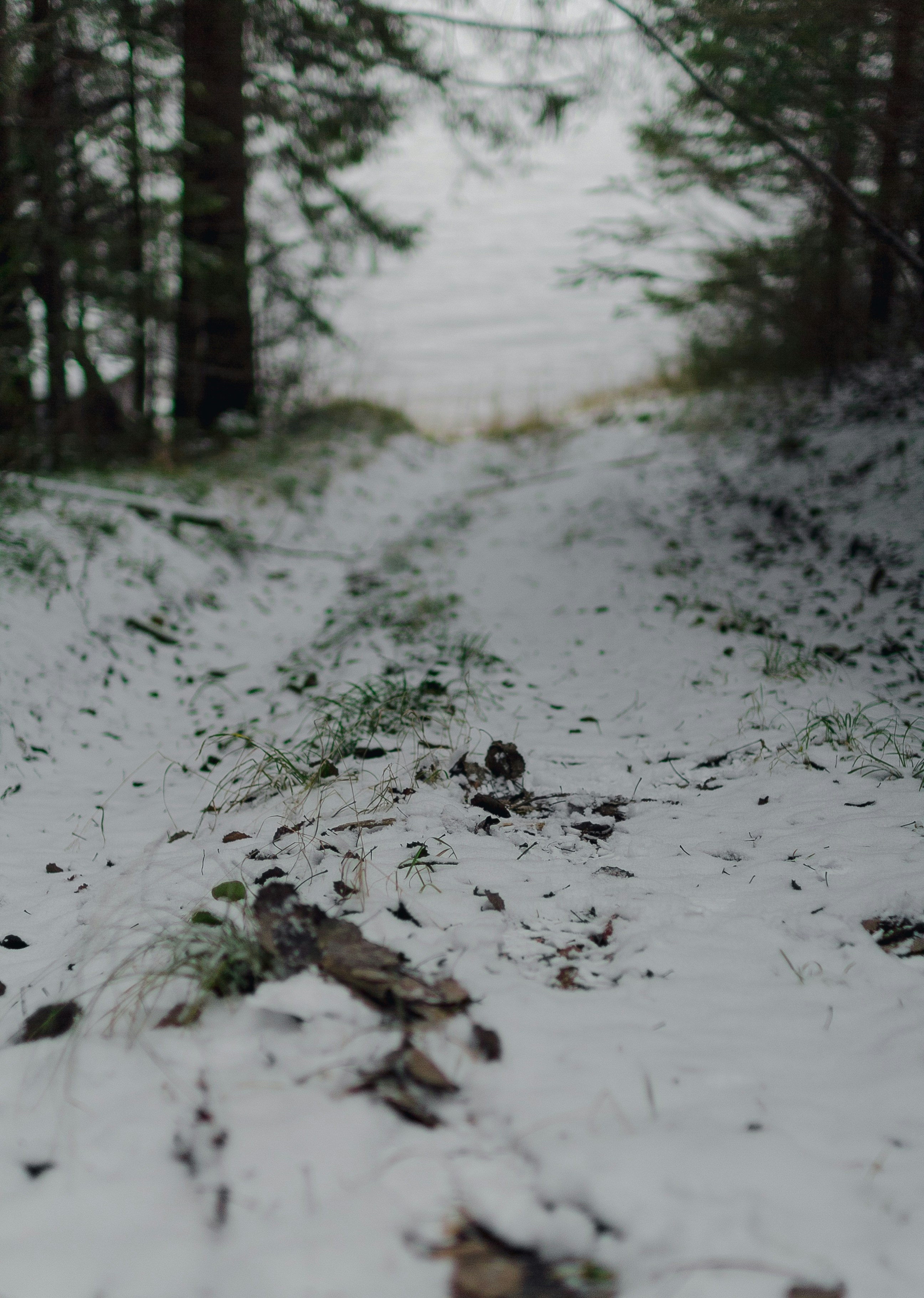 Photo by reshetnikov