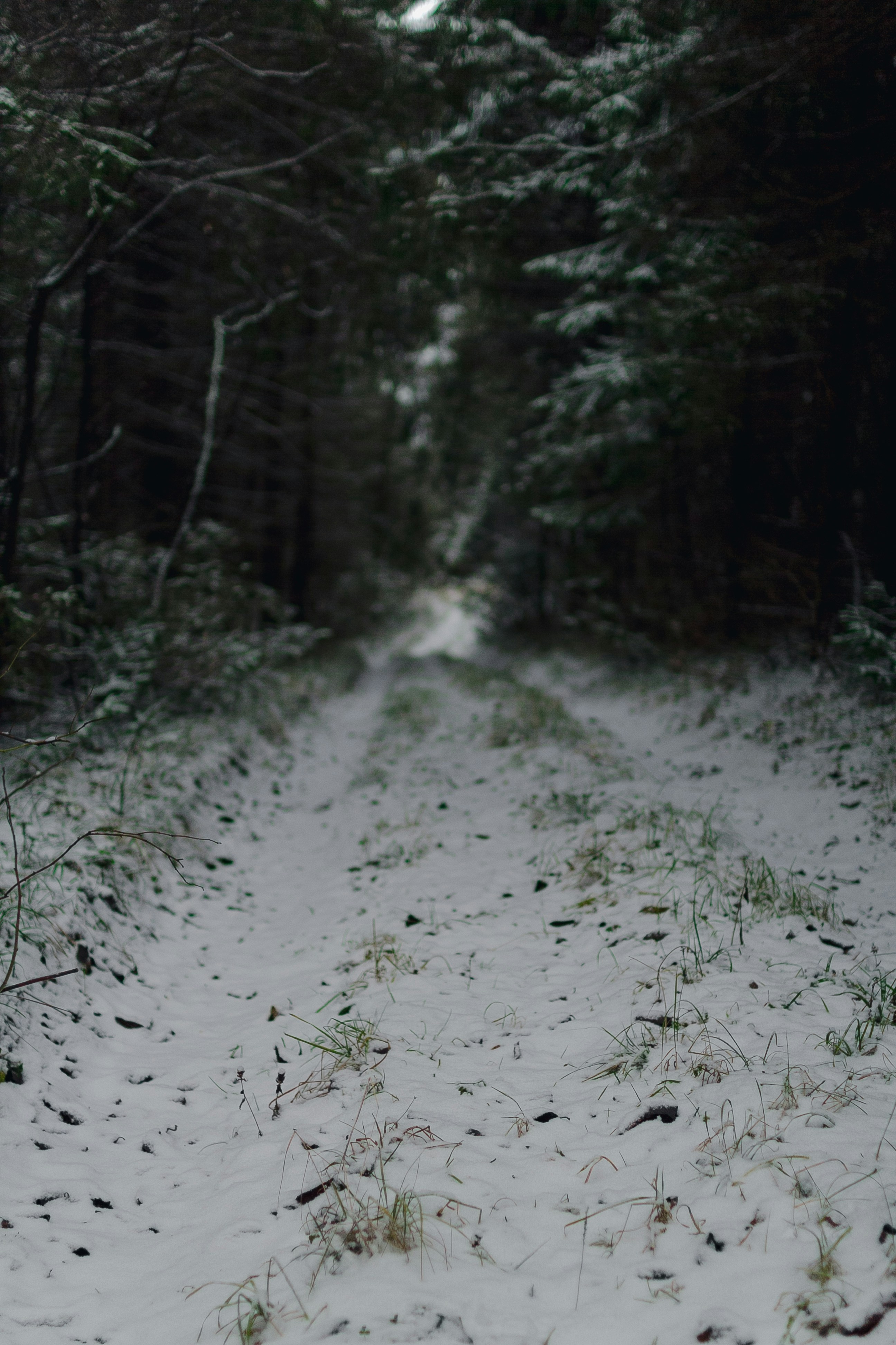 Photo by reshetnikov