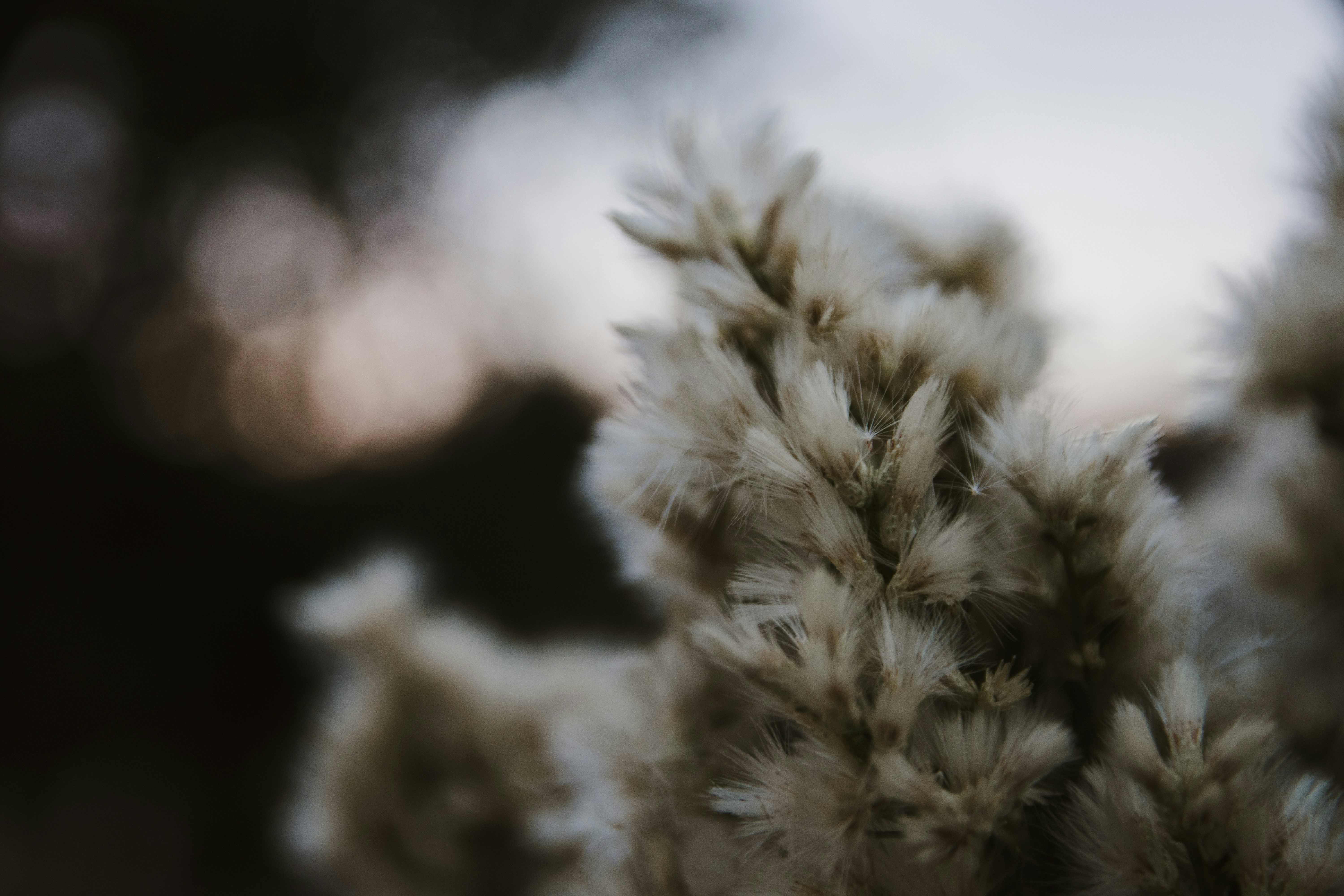 Photo by shawnyneubecker