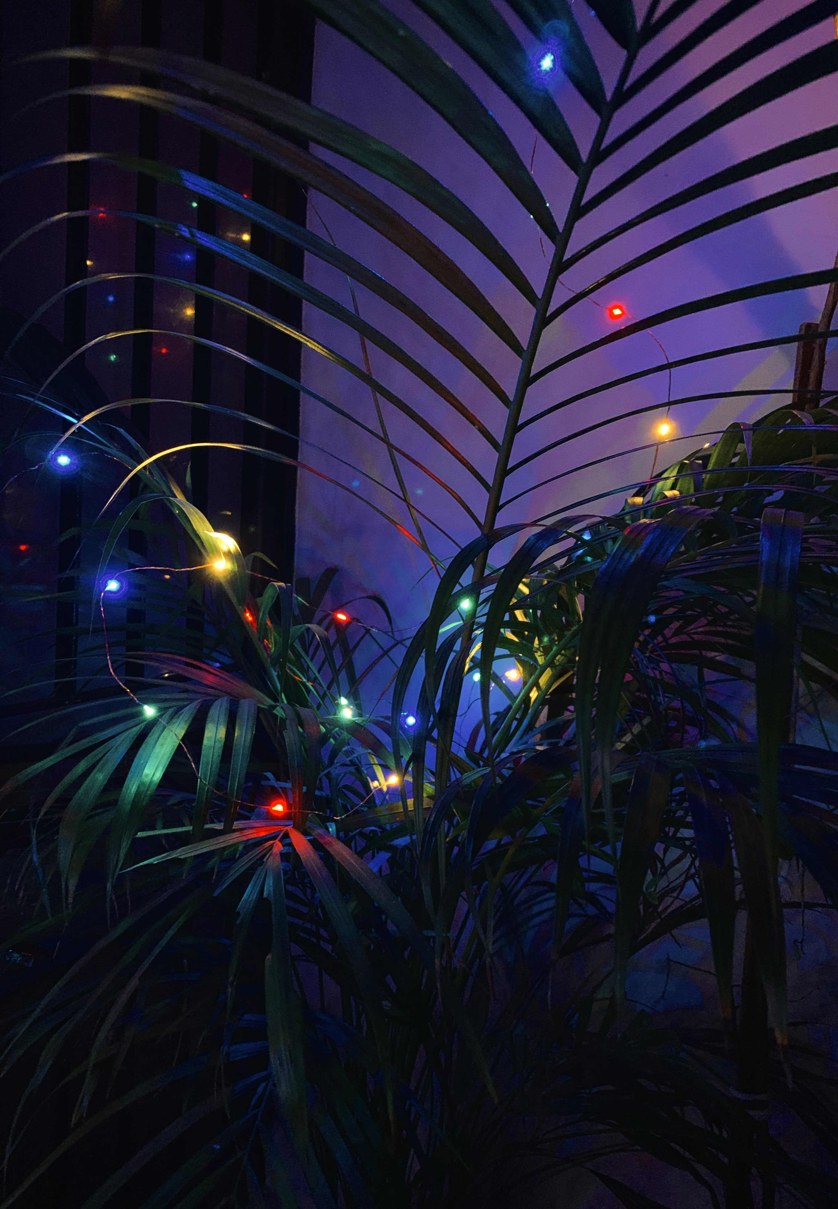 Photo by akshar_dave