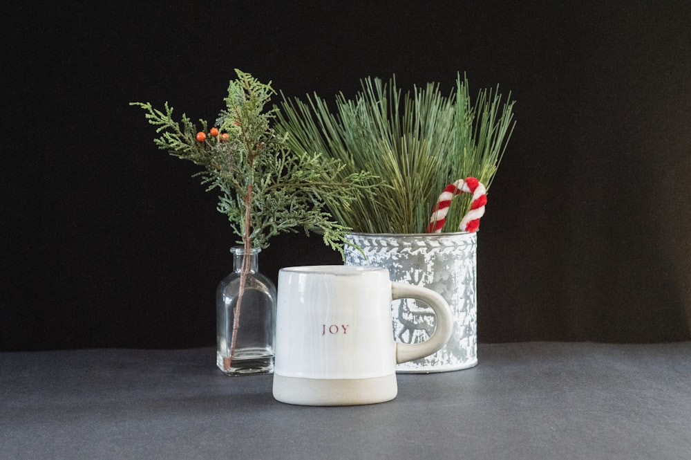 two mugs with plants in them sitting on a table