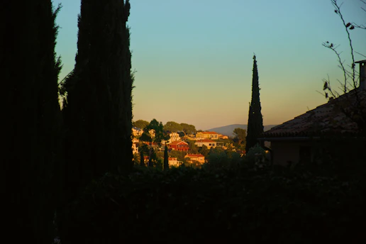 A peaceful view of Buck Ridge neighborhood under a warm sunset sky, showing spacious lots surrounded by tall trees.