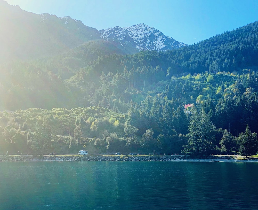 a body of water surrounded by mountains and trees