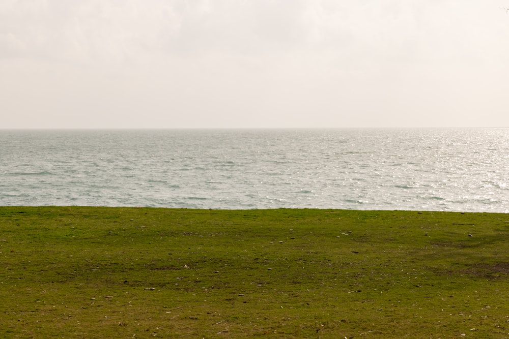 a person sitting on a bench looking out at the ocean