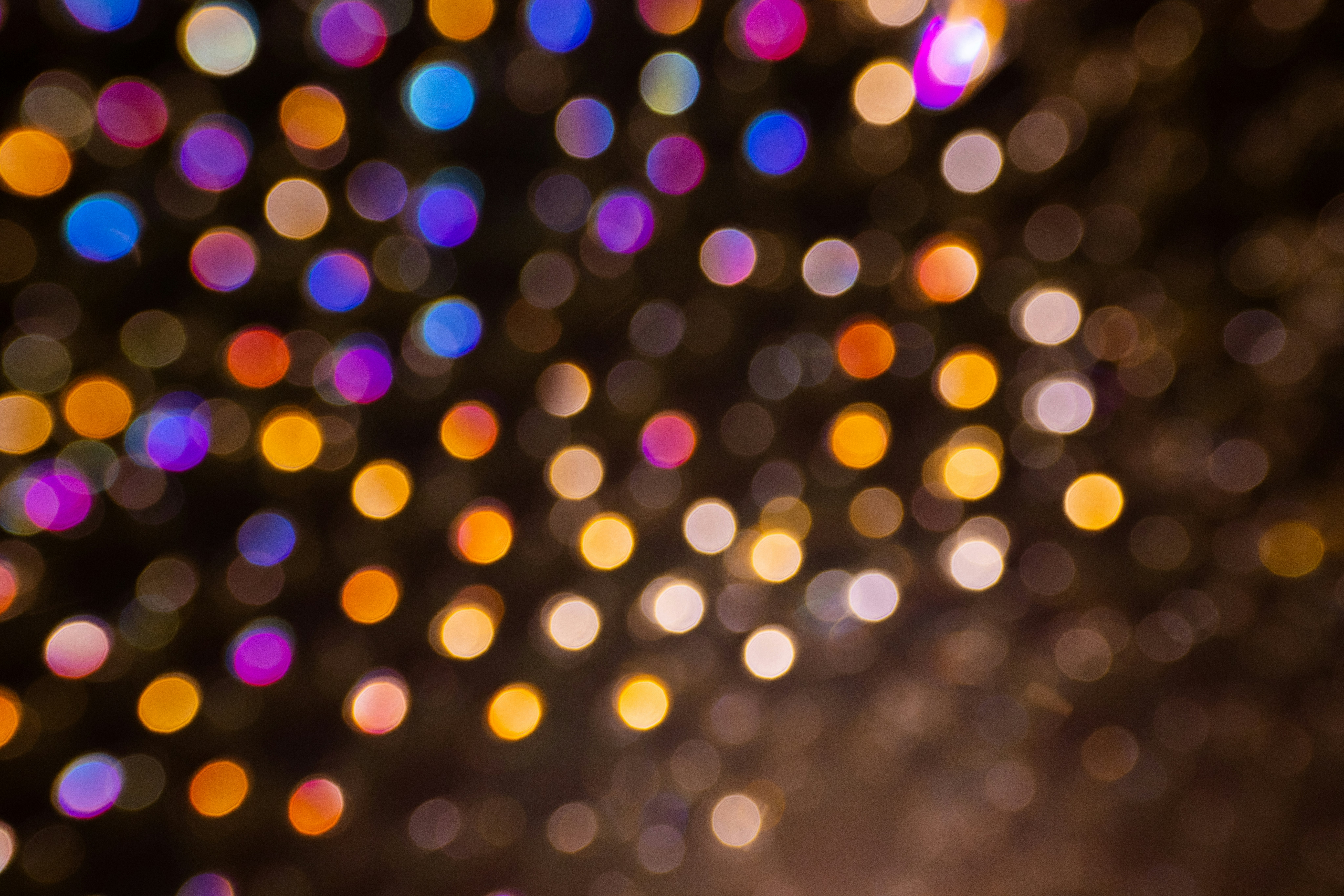 Photo by enginakyurt