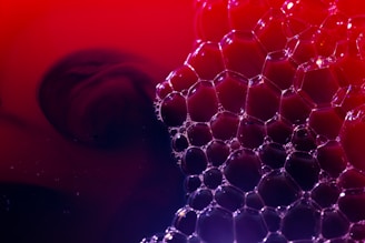 a red and blue background with bubbles