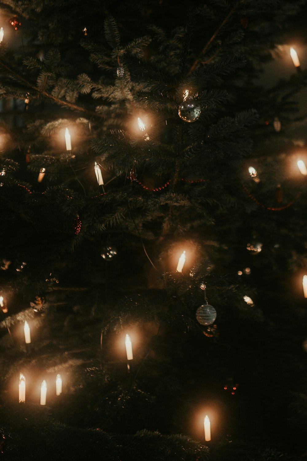 a christmas tree with lit candles in the dark