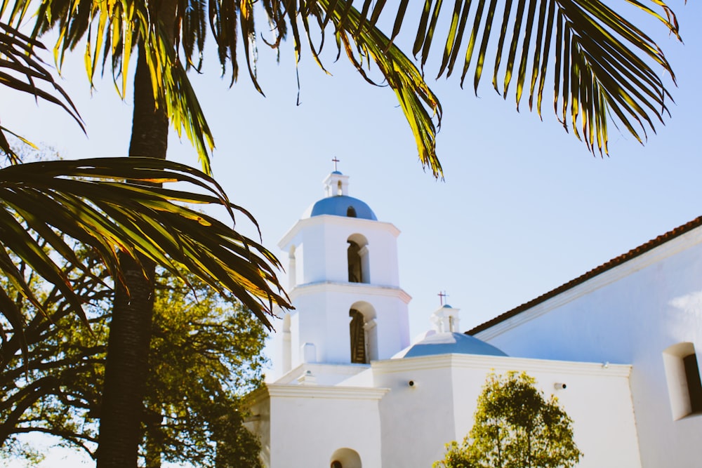 a white church with a blue dome and a palm tree