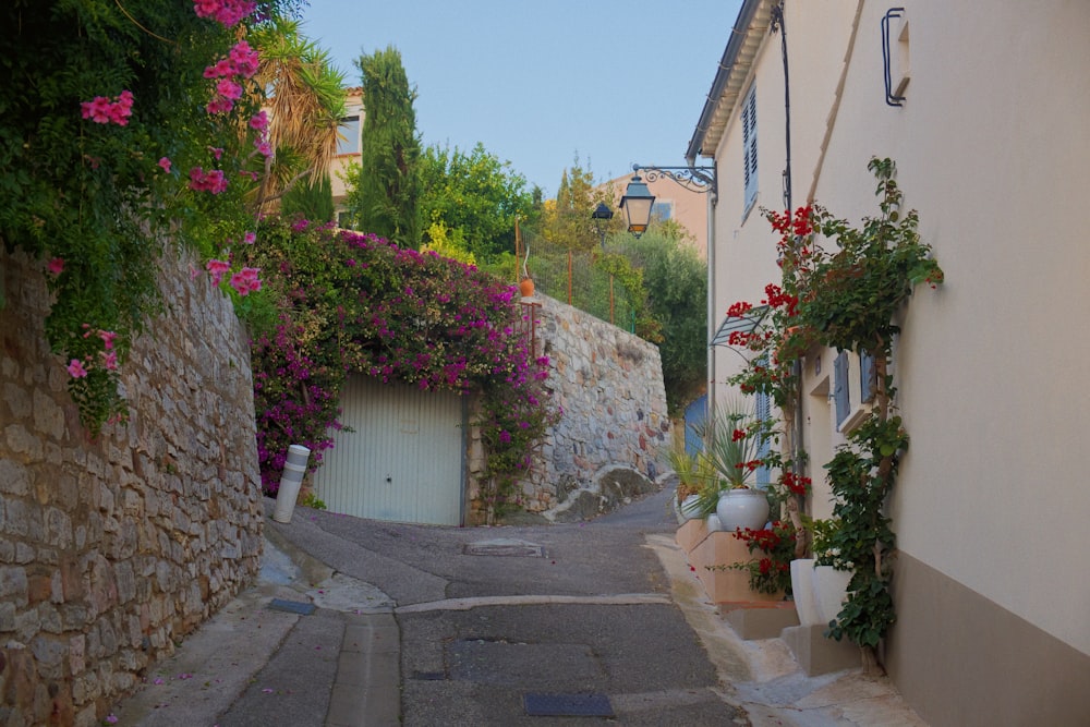 a narrow street with flowers growing on the side of it