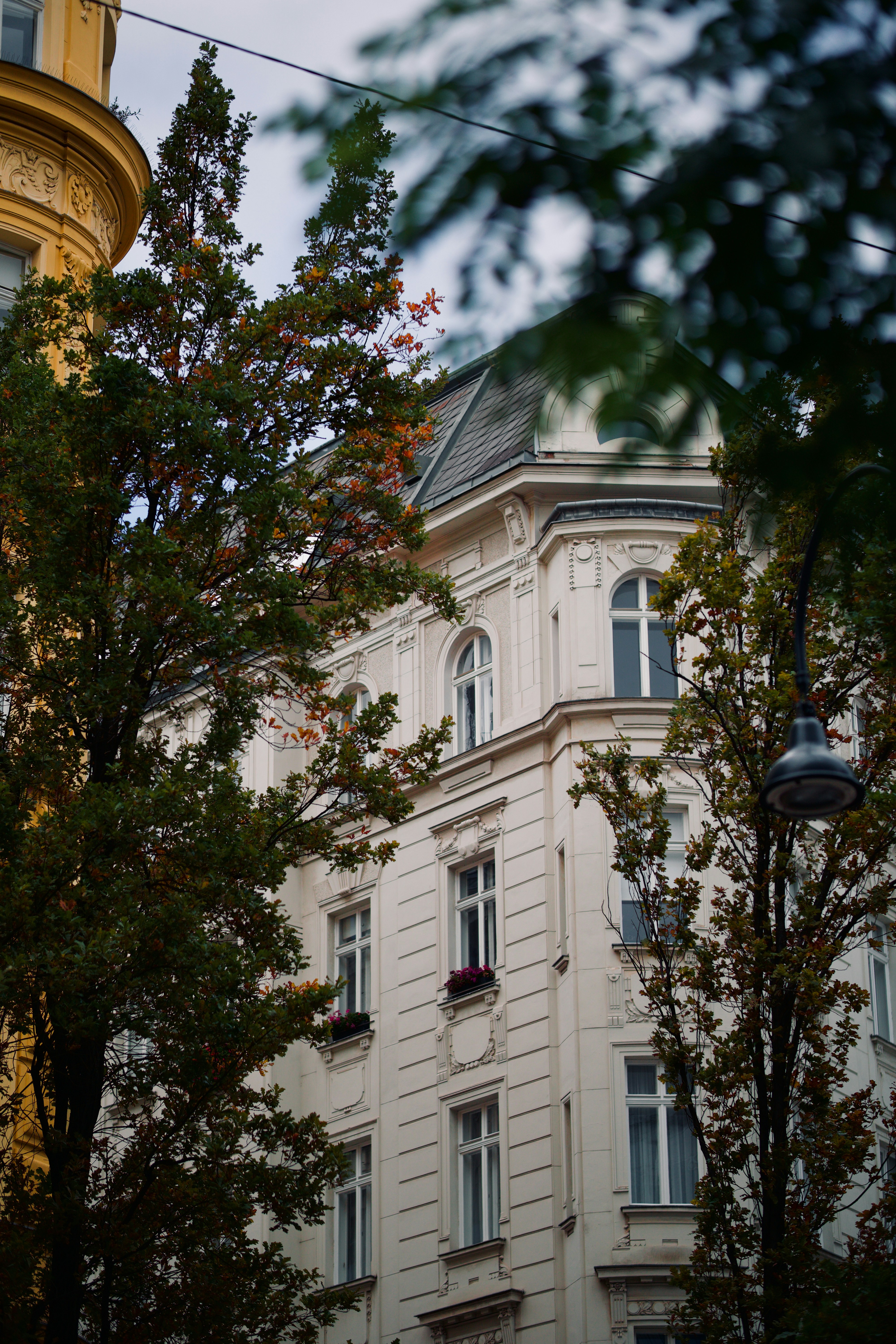 Photo by romanbodnarchuk