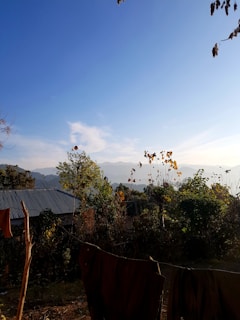 A rural landscape with a clear blue sky and distant mountains. Trees with green and yellow leaves are scattered throughout the scene. A small house with a tin roof is partially visible on the left. In the foreground, clothes hang on a line, suggesting a domestic setting.