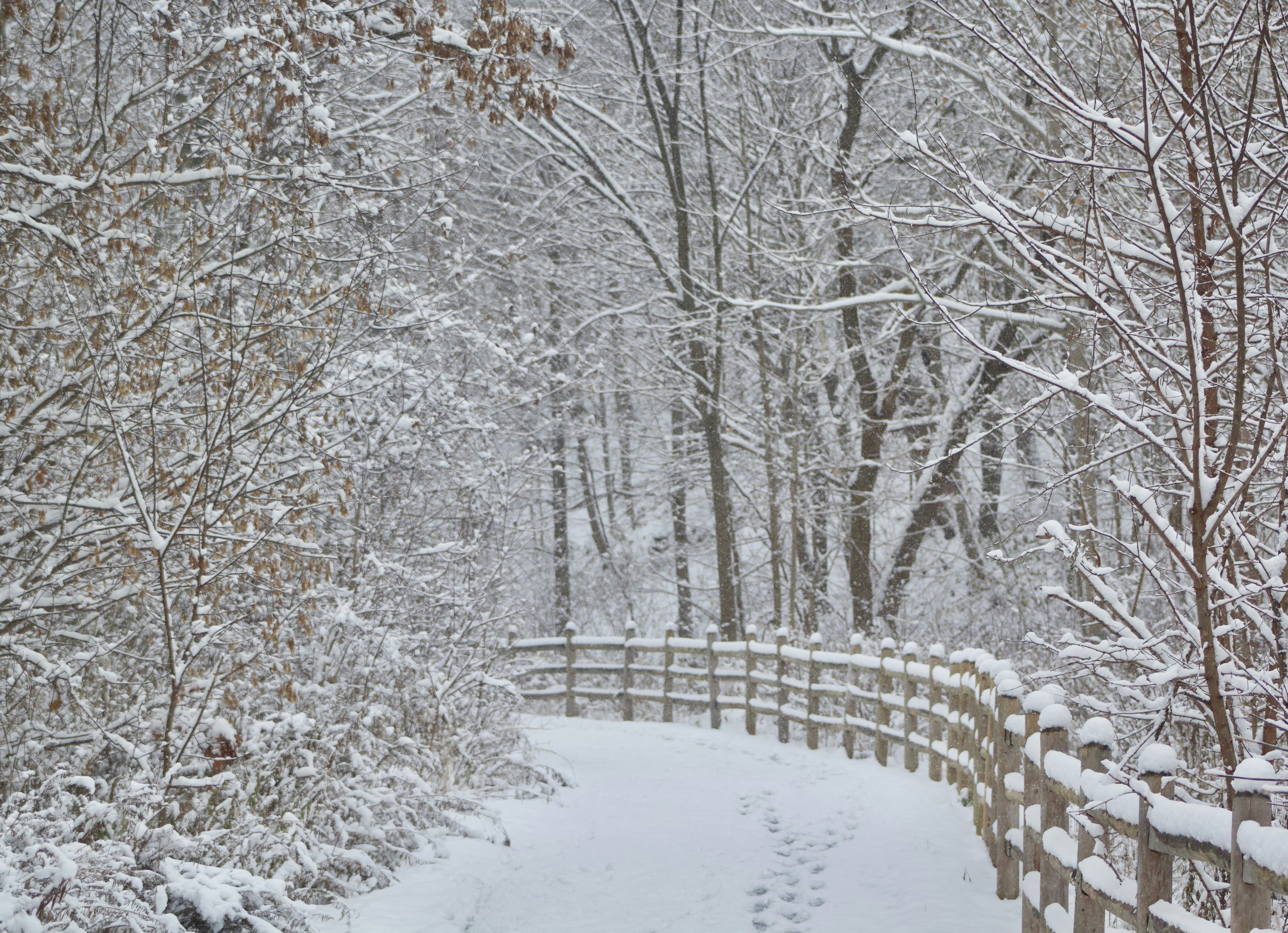 Photo by jaimedantas